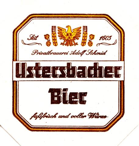 ustersbach a-by usters 8eck 2-3a2b (195-fafrisch und voller)